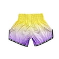 thumbnail image 3 of FLUORY Muay Thai Shorts Free Combat Mixed Martial Arts Boxing Training Match Pants Text Embroidery Gradient Shorts, 3 of 7