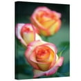 thumbnail image 1 of ArtWall ''Rose Trio'' by Kathy Yates Photographic Print on Canvas, 1 of 1