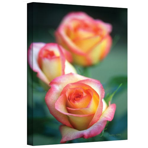 ArtWall ''Rose Trio'' by Kathy Yates Photographic Print on Canvas