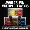 thumbnail image 5 of RAW Essential Performance Non-Stim Pre-Workout Powder - Preworkout for Endurance Strength & Focus Without Caffeine or Stimulants - Creatine Monohydrate, L-Citrulline & Beta Alanine - Sour Watermelon, 5 of 9