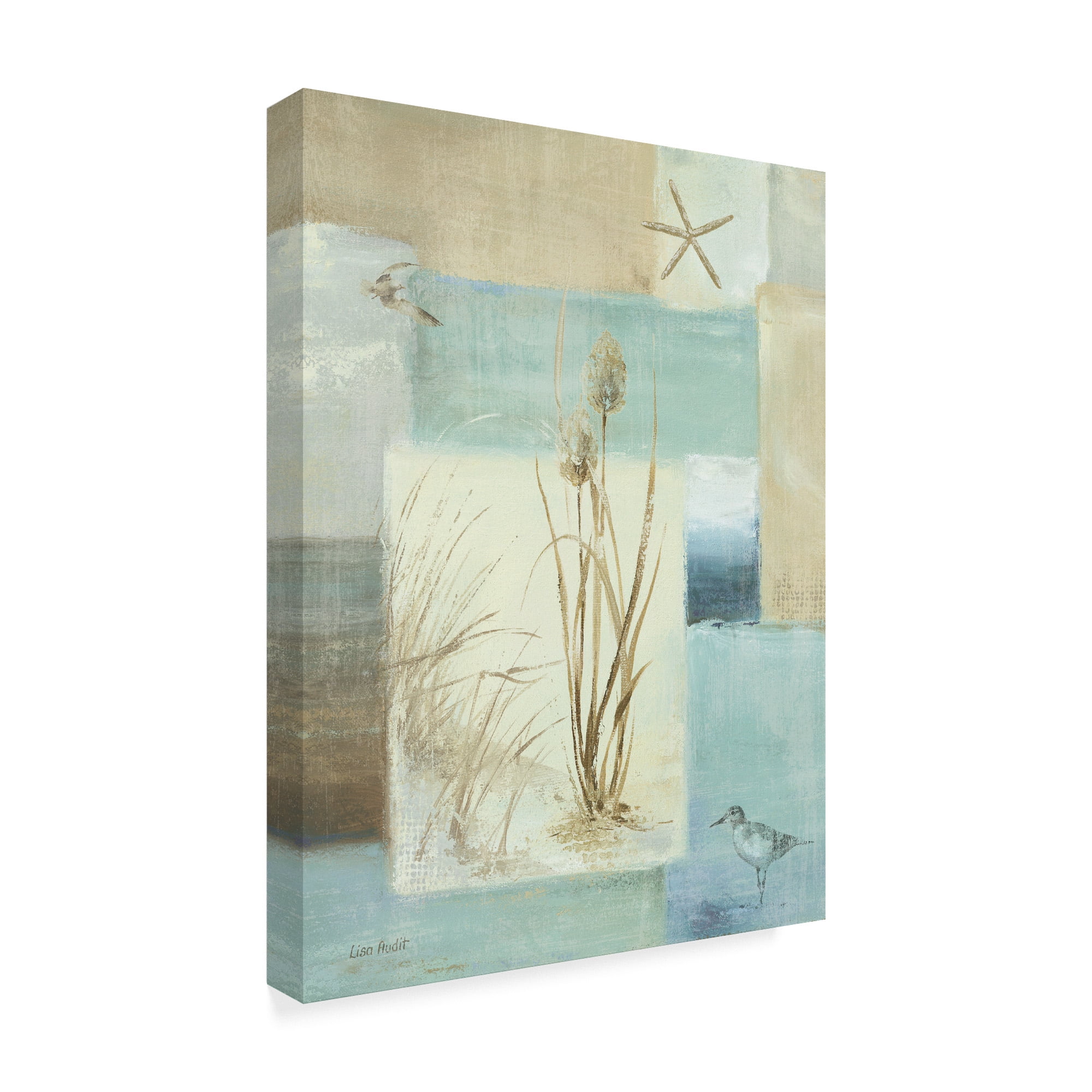 Trademark Fine Art 'Blue Waters I' Canvas Art by Lisa Audit