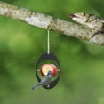 thumbnail image 5 of Cheer.US Hummingbird Fruit Feeder, Outdoor Metal Hummingbird Bird Feeder Hanging, Small Creative Suspended Fruit Bird Feeder, for Garden Yard Decoration Outside Garden-5.91"x3.94’’, 5 of 7