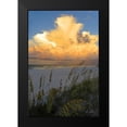 thumbnail image 2 of Williams, Alex 11x14 Black Modern Framed Museum Art Print Titled - Majestic Coast II, 2 of 5