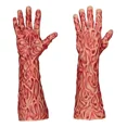 thumbnail image 4 of Manos Freddy Krueger Hyperhands Halloween Terror, 4 of 4