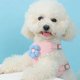 thumbnail image 5 of MADDEN Dog Cat Harness Vest Chest Rope Set Breathable Adjustable Pet Harness for Small Medium Dogs Outdoor Walking ShopWise Round, 5 of 9