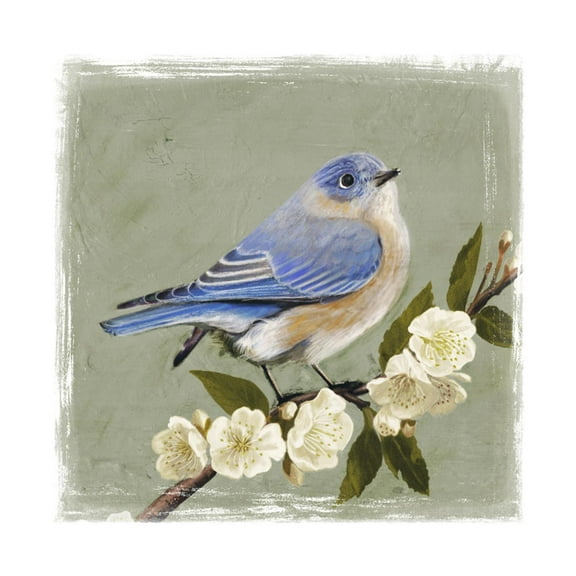 Art.com Bluebird Branch I Art Print by Victoria Borges, 16" x 16"