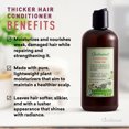 thumbnail image 3 of Just Nutritive Thicker Hair Set, Volumizing Shampoo & Conditioner, Hydrating, Sulfate-Free, 16oz, 3 of 6
