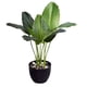 thumbnail image 5 of Cateissary Planta elegante de plástico fácil de limpiar, decoración para el hogar, plantas artificiales, plantas falsas, Canna + maceta Canna+maceta 2Conjunto, 5 of 6
