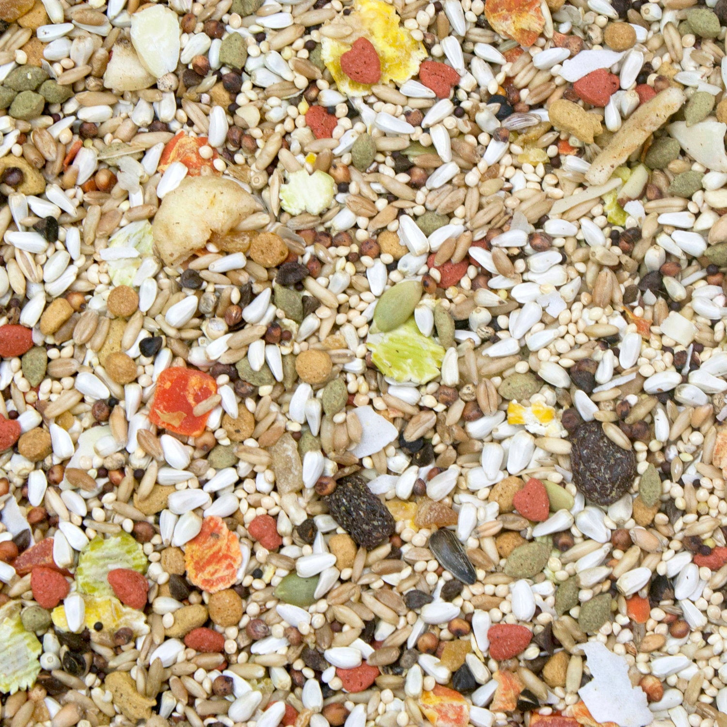 Higgins Safflower Gold Conure & Cockatiel Bird Food 3lbs. 2-Pack