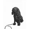 thumbnail image 2 of Portrait of black spaniel Poster Print (24 x 36), 2 of 4