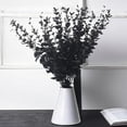 thumbnail image 3 of 40 Pcs Black Eucalyptus Stems - Artificial Eucalyptus Branches Long Stems with Leaves - 16 inch Black Artificial Flowers Faux Plants for Vase Halloween Decor Home Wedding Bouquet, 3 of 6