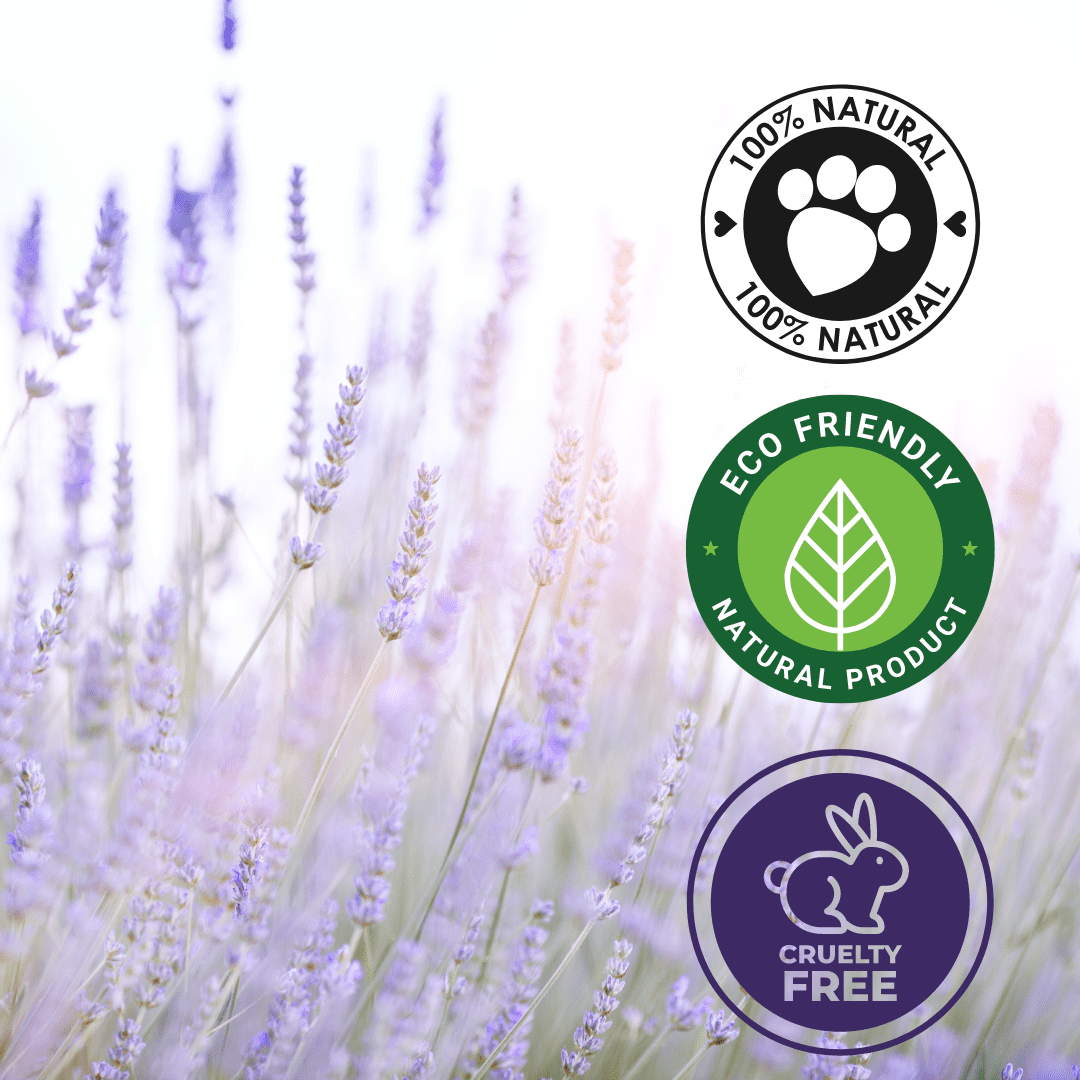 Lavender (Bulgarian) Essential Oil - 16 fl oz - Aluminum Bottle w/ Locking Cap
