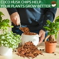 thumbnail image 6 of Halatool 6 Pcs Coconut Coir Chips for Plants - 6.6 LB 100% Organic Coco Husk Chip Bricks with Low EC and pH Balanced, Compressed Coco Substrate Growing Mulch Medium for Garden Herbs, Plants, Flowers, 6 of 8