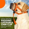 thumbnail image 6 of SkyAuks Gentle Leader for Dogs, Dog Head Halter with Safety Strap, Adjustable Prevent Pulling Dog Head Halter Dog Head Harness Perfect for Leash and Harness Training Medium and Large Dog Sizes(Black), 6 of 8