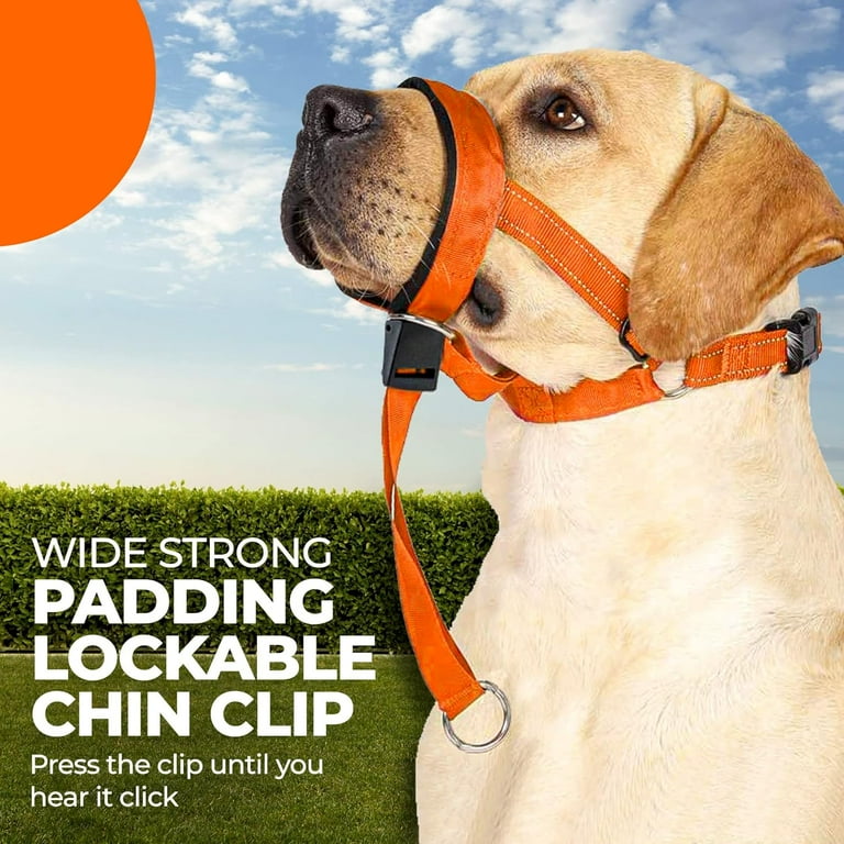 Gentle Leader for Dogs, Dog Head Halter with Safety Strap