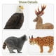 thumbnail image 5 of Toymany 12PCS North American Forest Animal Figurines, Realistic Jungle Animal Set Includes Raccoon,Lynx,Wolf,Bear,Eagle, Educational Toy Cake Toppers Christmas Birthday Gift for Kids Toddlers, 5 of 5