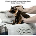 thumbnail image 6 of PetFusion Multipurpose Puncture and Water-Resistant Pet Grooming and Bathing Gloves, For Dogs, Cats and Pets, Small, Grey, 1 Pair, 6 of 7