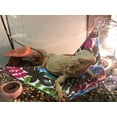 thumbnail image 4 of Bearded Dragon Hammock Breathable Decorative Reptile Hammock Lizard Hanging Bed, 4 of 10