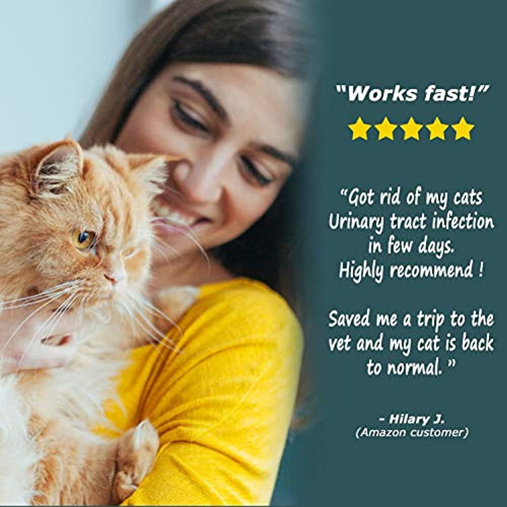 cat uti medicine walmart