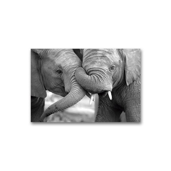 Two Cute Elephants Poster -Image by Shutterstock