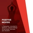 thumbnail image 3 of Protocol For Life Balance - L-Tryptophan 500 mg - 60 Veg Capsules, 3 of 8