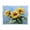 Sunflowers Painting, variant on Acrylic Tray Clear Serving Tray Rectangle Decorative Tray with Cut Handle Vibrant and Intricate Flowers