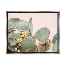 Stupell Industries Cactus Flowers on Pink Botanical & Floral Photography Gray Floater Framed Art Print Wall Art, 31 x 25