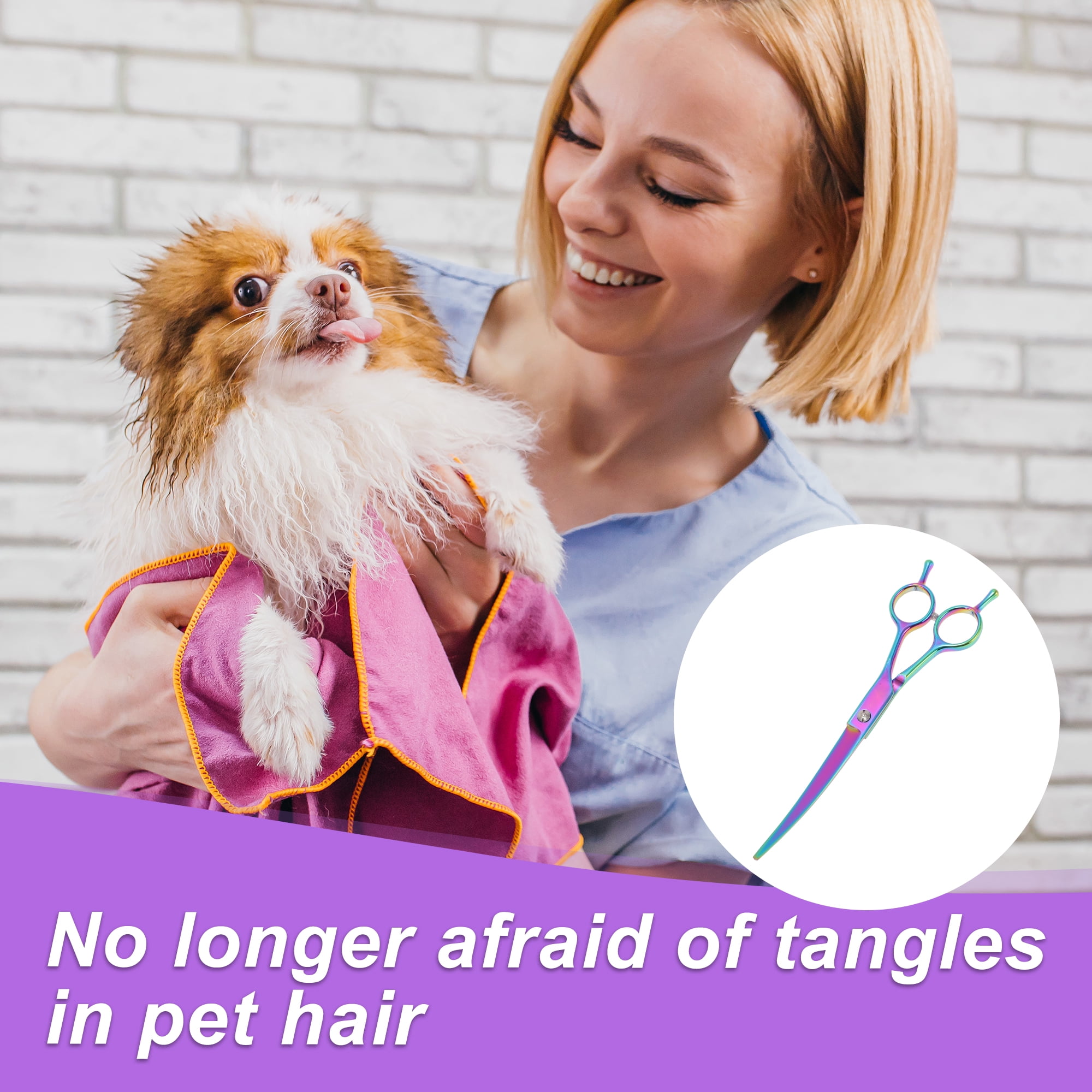 Unique Bargains Dog Grooming Scissors with Curved Design Assorted Color