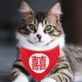thumbnail image 3 of Colliers pour Chiens Bandana Triangle avec Boucle Réglable Bandanas Décoratifs pour Chats, 3 of 8