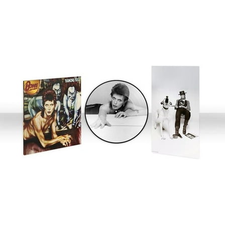 David Bowie - Diamond Dogs (50th Anniversary Picture Disc) - Music & Performance - Vinyl