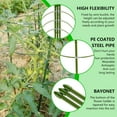thumbnail image 3 of Yeater Anneau de Support pour Plante Réglable de 18 Po (Lot de 2), 3 of 7