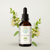 Honeysuckle Alcohol-FREE Herbal Extract Tincture, Super-Concentrated Organic Honeysuckle (Lonicera japonica) Dried Flower 2 oz