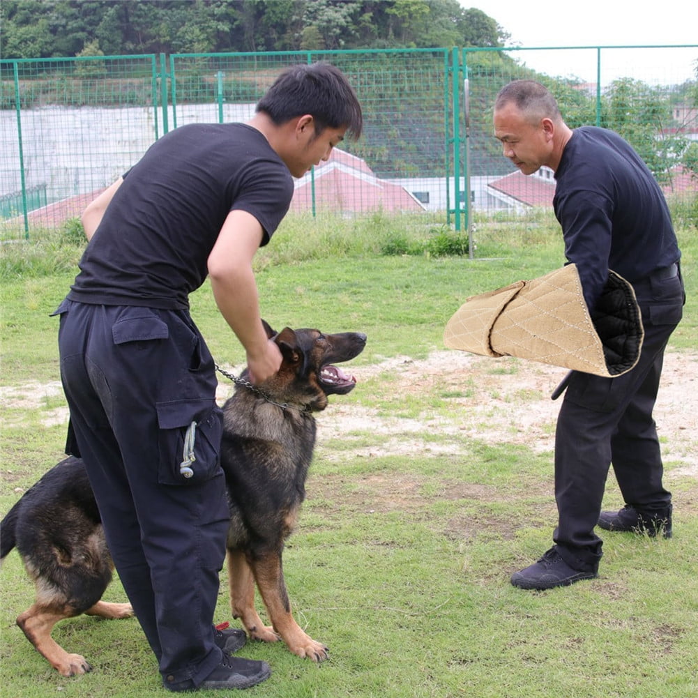 arm protection sleeves dog training