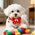 thumbnail image 5 of 4Pcs Cute Girl Dog Collars with Bow Tie, Soft Nylon Adjustable Extra Small Dog Collar for Tiny Puppies, XS Pet Collar for Neck 7.5-12.5 Inch, 5 of 8