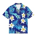 thumbnail image 4 of Boys Vacation Hawaiian Shirts Beach Summer Button Down Collared Shirts Tropical Holiday Funny Tops with Pocket 8 Years, Sky Blue, 4 of 7