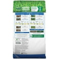 Scotts Turf Builder Rapid Grass Sun & Shade Mix, 5.6 lbs.