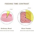 thumbnail image 5 of Tazón de prevención de asfixia para mascotas Tazón de comida para perros Tazón de comida lenta para mascotas Tazón de prevención de asfixia para gatos y perros Suministros para mascotas y perros, 5 of 5