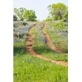 thumbnail image 2 of Wilson, Emily M. 13x18 Black Ornate Wood Framed with Double Matting Museum Art Print Titled - Llano-Texas-USA-Two rut road through bluebonnets in the Texas Hill Country, 2 of 4