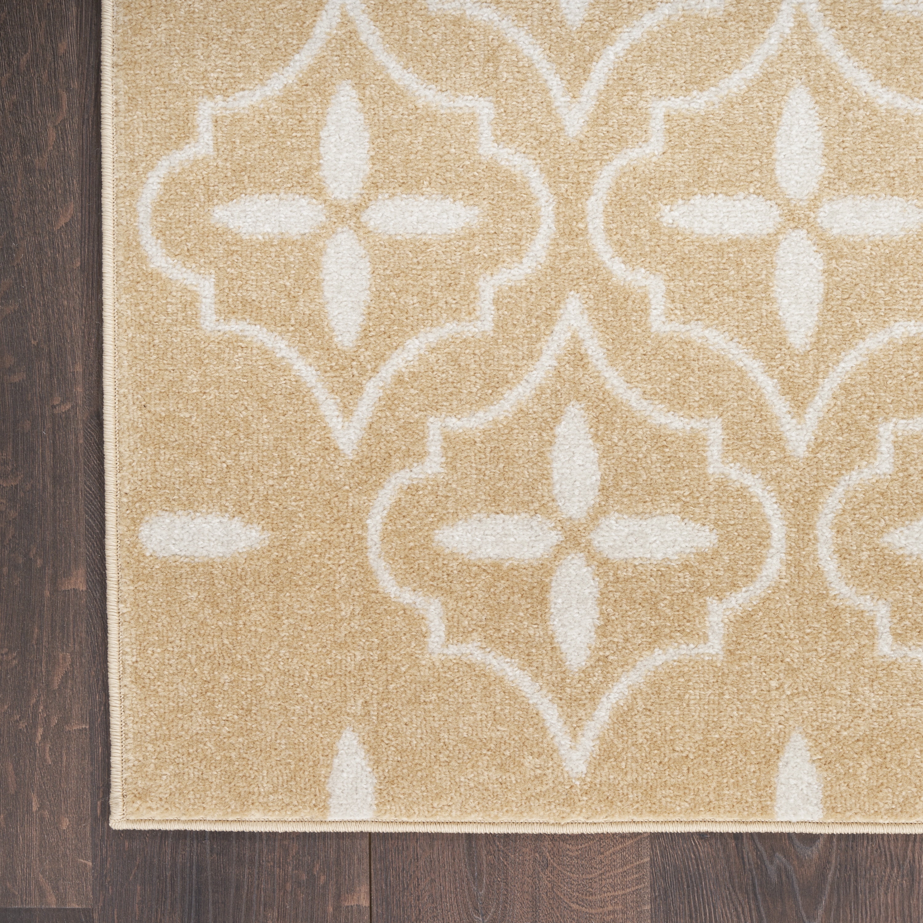 Nourison Essentials Outdoor Beige Ivory 6' x 9' Area Rug (6x9)