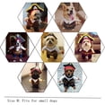 thumbnail image 5 of El perro se transforma en disfraz de pirata Nuevos disfraces para mascotas de Halloween, 5 of 5