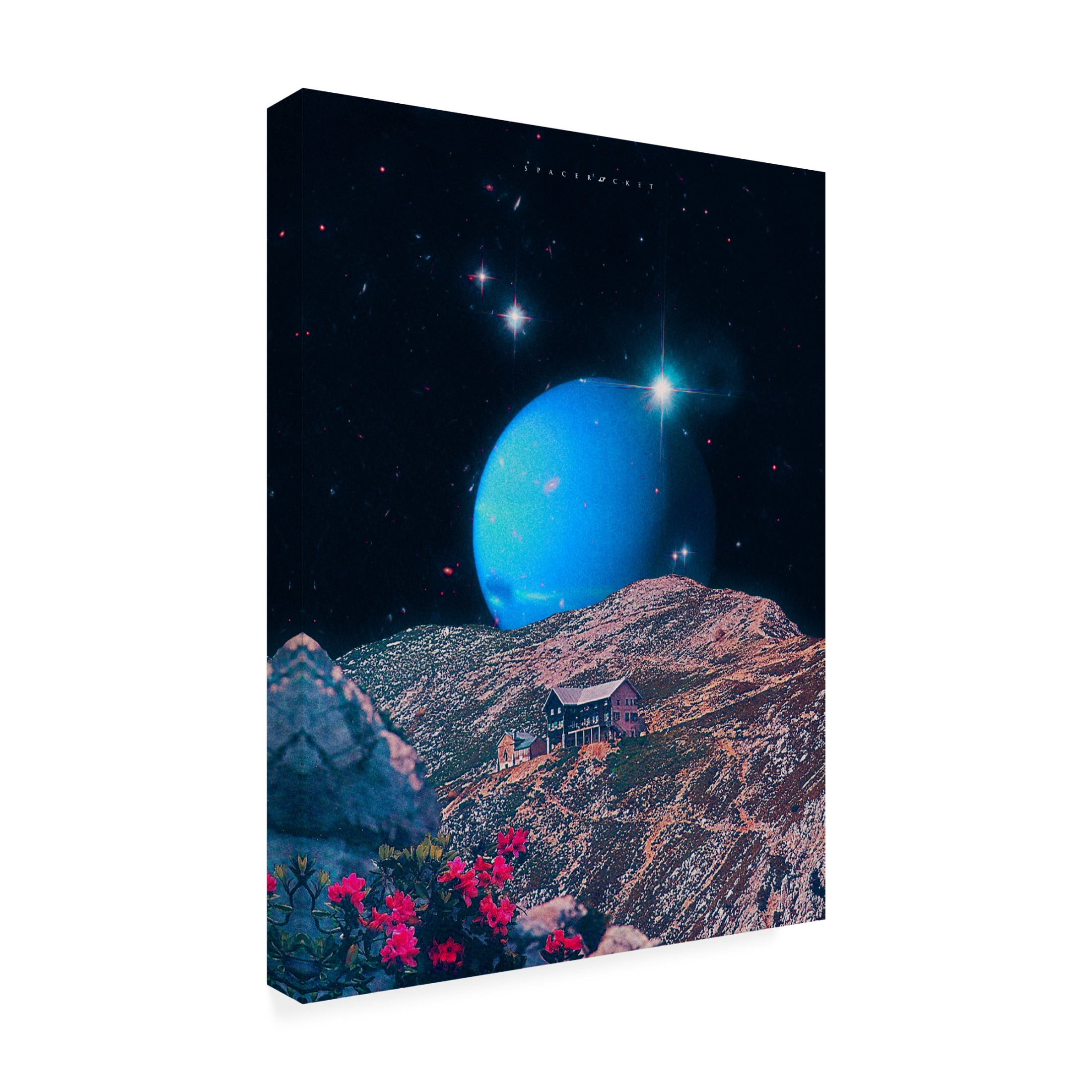 Trademark Fine Art spacerocket art 329 Canvas Wall Art