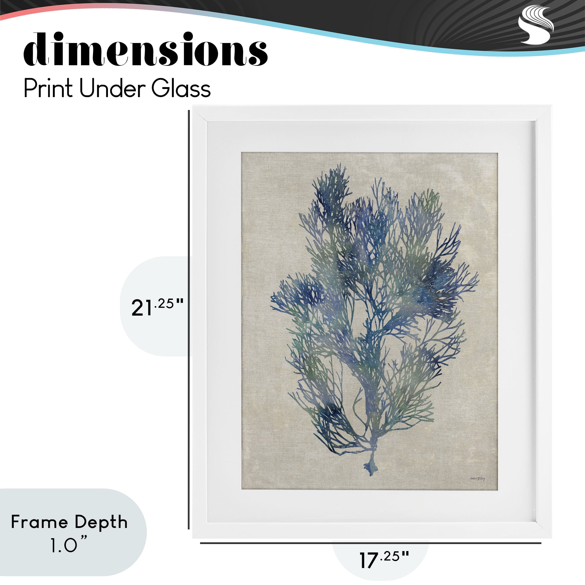 Stupell Industries Misty Blue Coral Study White Framed Print Under Glass, design by Amber Sterling