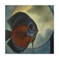 thumbnail image 1 of Discus in Motion. - Canvas, 1 of 10