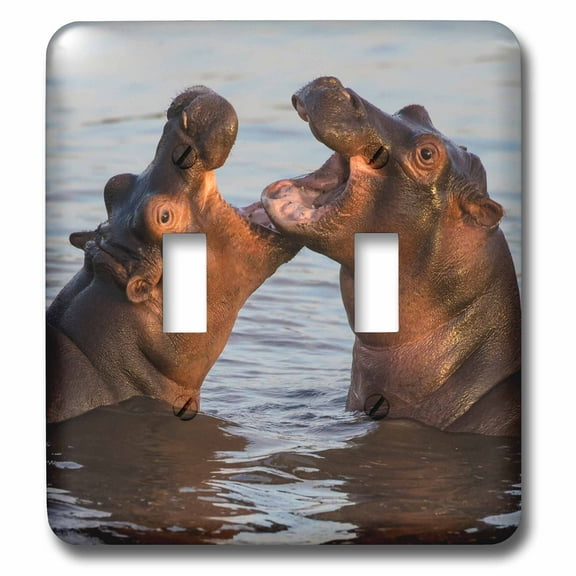 3dRose, Africa. Tanzania, Serengeti NP. Hippopotamus fighting in the river., double toggle switch