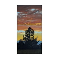 Trademark Fine Art 'Evening Pine' Canvas Art by Ron Parker