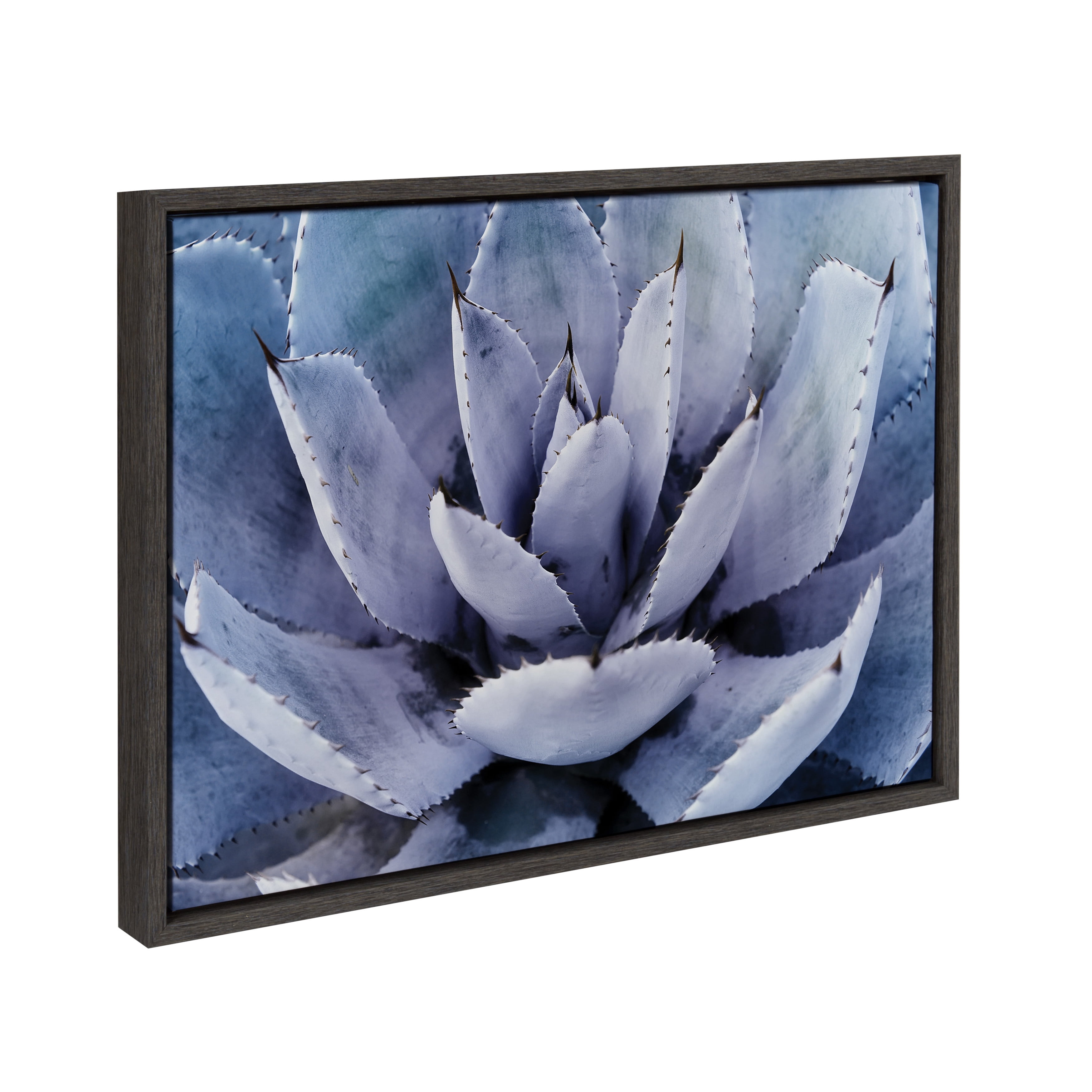 Kate and Laurel Sylvie Violet Cactus Succulent Lavender Purple Framed Canvas Art by Amy Peterson, 18x24 Gray
