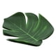 thumbnail image 5 of 36 hojas verdes hawaianas tropicales para decorar la mesa de la pared de la fiesta de verano, 5 of 10