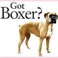 thumbnail image 2 of CafePress - Got Boxer? Infant Bodysuit - Baby Light Bodysuit, Size Newborn - 24 Months, 2 of 4