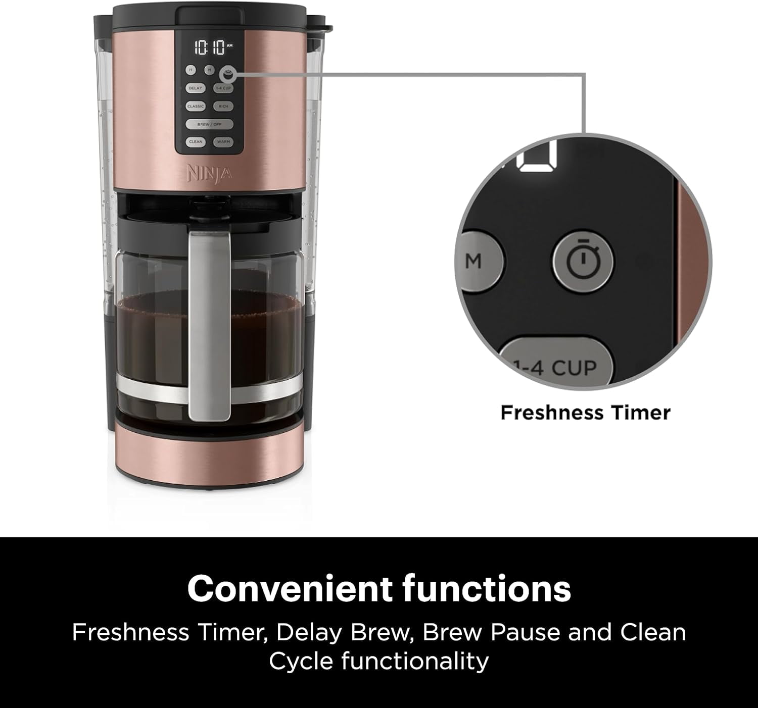 Ninja® 12-Cup Programmable Coffee Maker, Glass Carafe, Stainless Steel,  CE250 