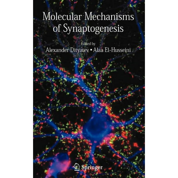 Molecular Mechanisms of Synaptogenesis, (Hardcover)